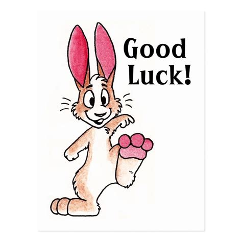 Lucky Rabbit Postcard Lucky Rabbit Rabbit Good Luck