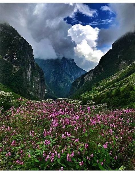 Valley Of Flowers National Park Is An Indian National Park Located In