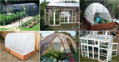 Each has their advantages and disadvantages, and also cost can differ extremely for both.greenhouse diy kit as the temperature levels drop, a number of us are probably prepared to throw … 20 Free DIY Greenhouse Plans You'll Want To Make Right Away - DIY & Crafts
