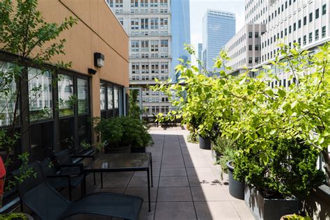 Green Downtown Rooftop Proposal Ideas And Planning