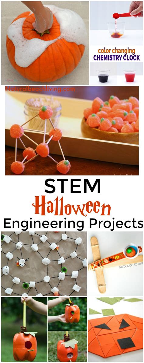 These kindergarten activities are the best at letting kids interact, play, move, and work with important learning. 20+ Halloween STEM Activities for Preschool and ...