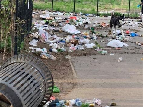 Garbage Vandals Leave Prospect Park Strewn With Trash Alliance