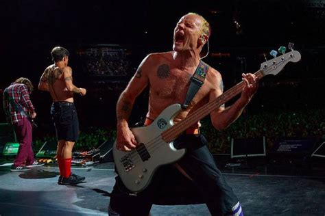 El Motivo Por El Que Flea Red Hot Chili Peppers No Es Partidario De