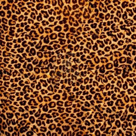 Leopardo Leopard Print Background Leopard Pattern Animal Print