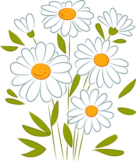 Transparent Background Pink Daisy Clipart Pink Flower Drawing Png My
