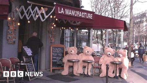 The Bears Bringing Joy To Paris Bbc News