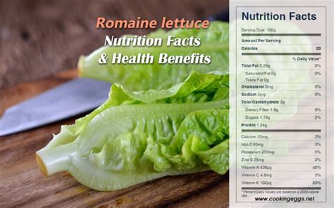 Romaine Lettuce Nutrition Facts And Health Benefits Cookingeggs