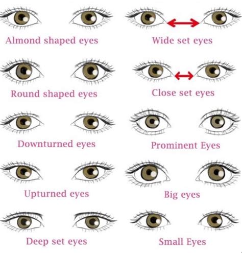 Pin By Phatpeachh On Facebeat Types Of Eye Shapes Different Types Of