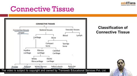 Tissue Integrity Concept Map
