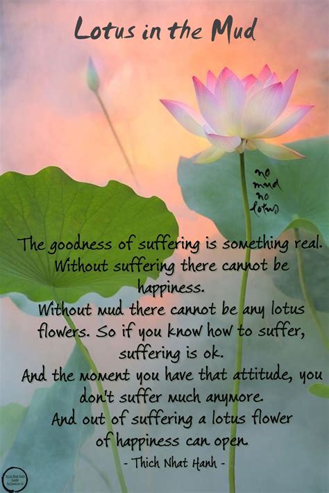 17+ Inspirational Quotes With Lotus Flower - Brian Quote
