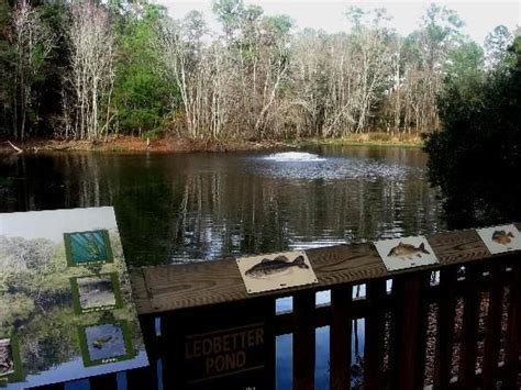 Wassaw National Wildlife Refuge Savannah Chat Savannah Attractions