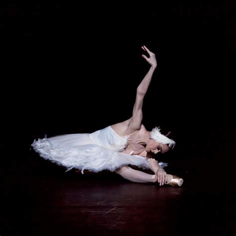 Mariinsky Ballet A Tribute To Maya Plisetskaya Program B New York Dancetabs