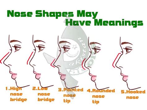 For a quick overview of important nose aesthetics principles, check out this looks theory episode Pak Patriots