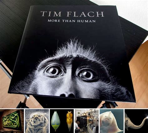 More Than Human By Tim Flach Notcot