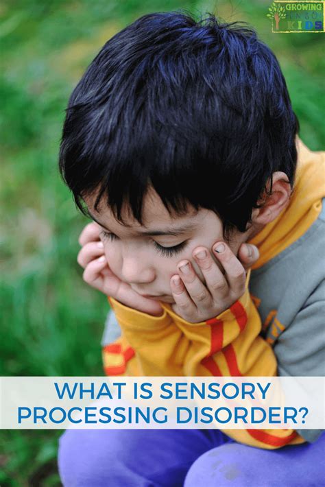 What Is Sensory Processing Disorder For Parents Educators And Therapists