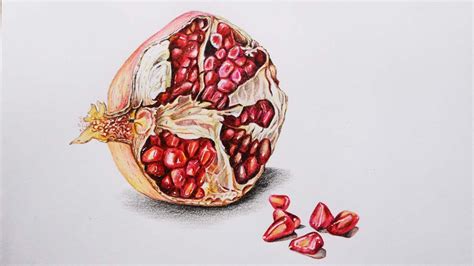 Pomegranate Drawing In Color Pencils How To Draw Pomegranate Fruit