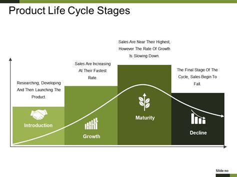 stages of life cycle