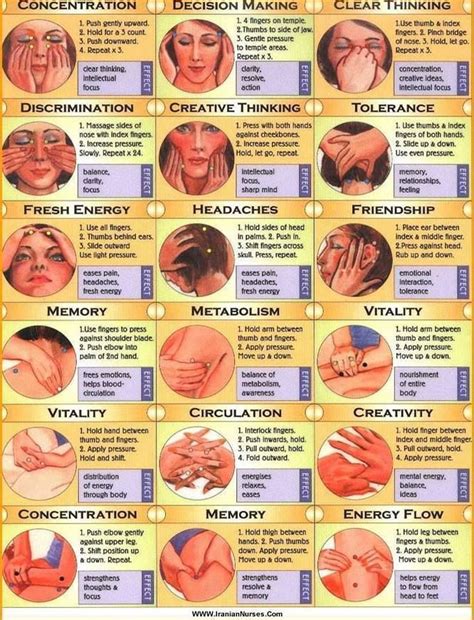 How To Find Pressure Points On The Head Face And Body