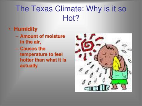 Ppt Texas Landforms And Regions Powerpoint Presentation