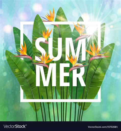Summer Typographical Background With Tropical Vector Image