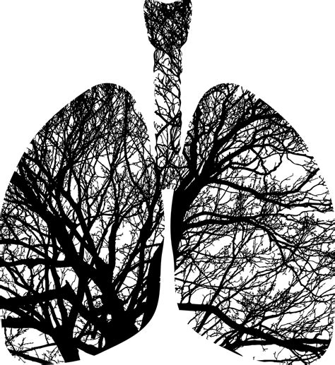Tekanan intrapleural dinding dada merupakan suatu kompartemen tertutup melingkupi paru. Alat Pernafasan