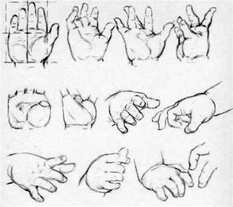 Female hands are small and slim, so you don't want the rectangle to be too big. How to Draw Hands - Reference Sheets and Guides to Drawing ...