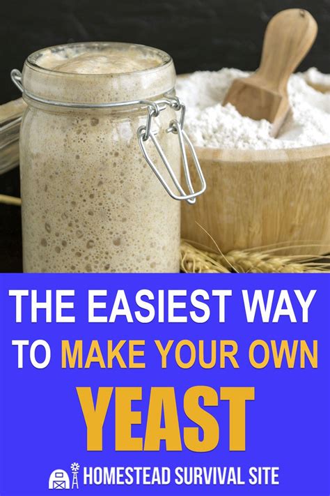 The Easiest Way To Make Your Own Yeast In 2021 Make Your Own Yeast