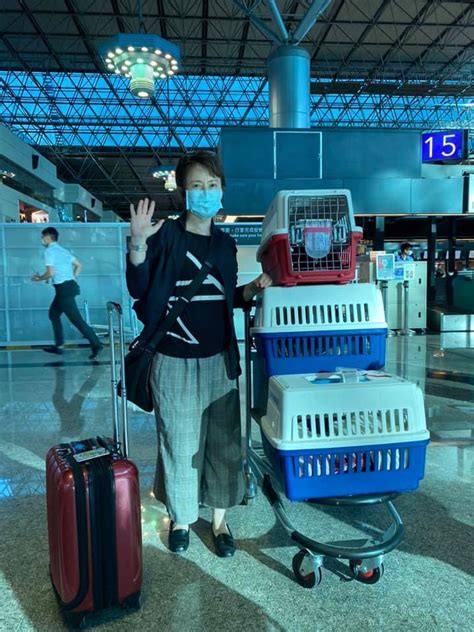 Personal account for taiwan ambassador, representative, and cat warrior in the us. 蕭美琴曬愛貓合照有玄機 網讚：不愧是「戰貓大使」! - 政治 - 自由時報電子報
