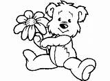 Bear Coloring Teddy Pages Flower Holding Flowers Spring Drawing Printable Little Build Bears Kids Holidays Beautiful Clipart Adults Baby Color sketch template