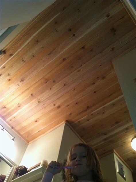 Methods to set up ceiling planks, title: Cedar plank bathroom ceiling. And a cute face! | Small ...