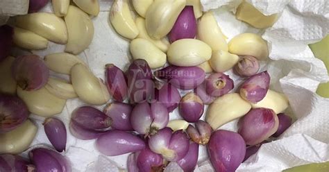 Konsumsi setiap hari hingga gangguan kesehatan yang anda rasakan menghilang. Makan Bawang Merah, Putih Mentah Setiap Hari, Kurangkan ...