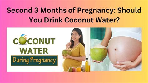 Second 3 Months Of Pregnancy Should You Drink Coconut Water