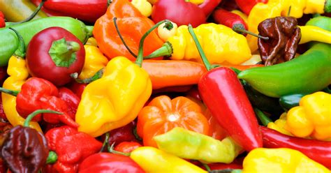Types Of Peppers Explained Heat Levels Of Different Chili Peppers
