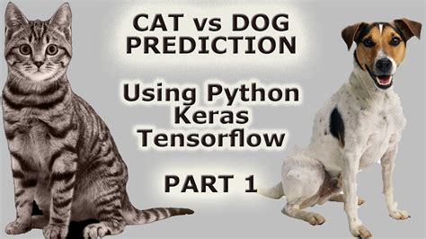 Image Classification With Keras Tensorflow Cat Vs Dog Prediction