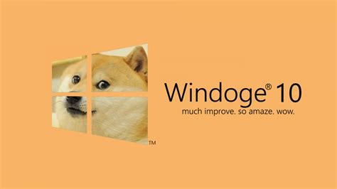 Find and download doge background hd on hipwallpaper. Wallpaper : illustration, dog, memes, doge, Microsoft ...