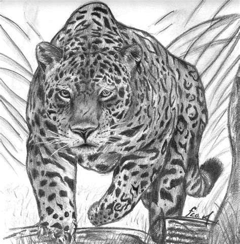 Resolver Escéptico Esposas Jaguar Dibujo A Lapiz Facil Correr
