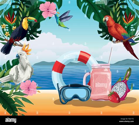 Summer Vacation And Beach Cartoons Stock Vector Image And Art Alamy