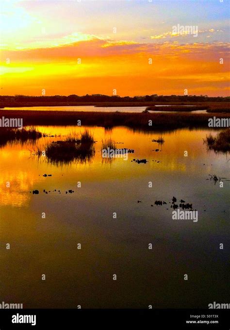 Sunset Salt Marsh Stock Photo Alamy