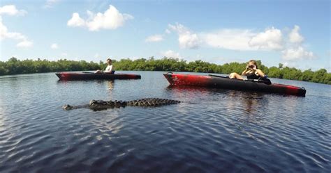 Kayaking In The Everglades Tour The Glades Private Wildlife Tours