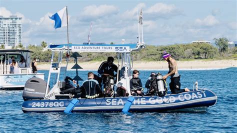 Small Boat Whale Watching Tour With Sea The Gold Coast