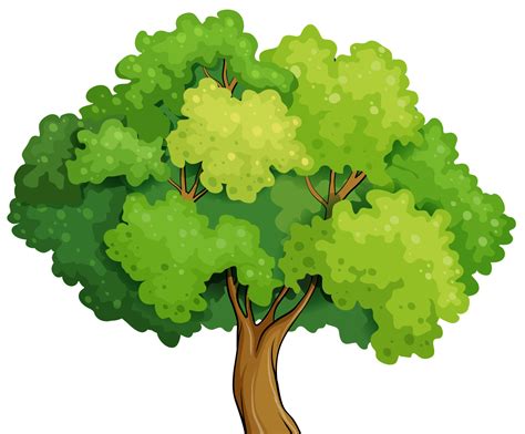 Cartoon Foreground Tree Png Download 12681050 Free Transparent