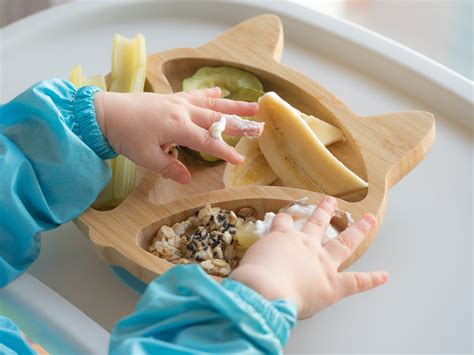 Alimentation Guide pour préparer le repas bio du bébé