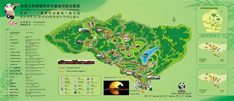 The Chengdu Research Base Of Giant Panda Breeding Utravelshare On The