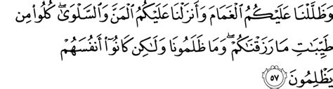 Allah tidak membebani seseorang melainkan sesuai dengan kesanggupannya. Burung Dan Ayat Al-Qur'an Yang Membahasnya | Tutur Baik ...