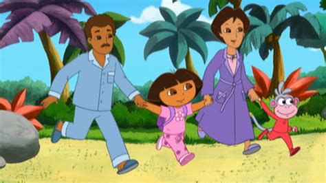 Watch Dora The Explorer Season 4 Episode 19 Catch The Babies Full