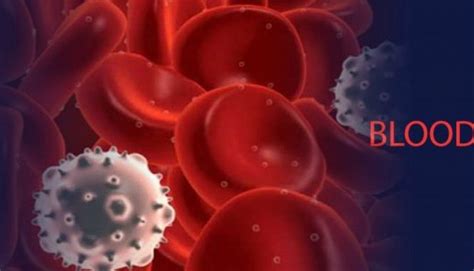 Blood Cancer Archives Positive Bioscience