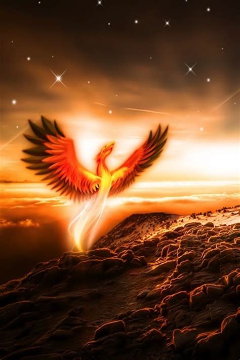 165 Best Phoenix Bird Of Fire Images On Pinterest