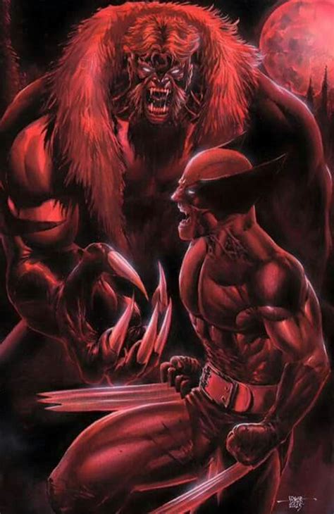 Sabretooth Vs Wolverine Wolverine Marvel Art Sabretooth Marvel Marvel