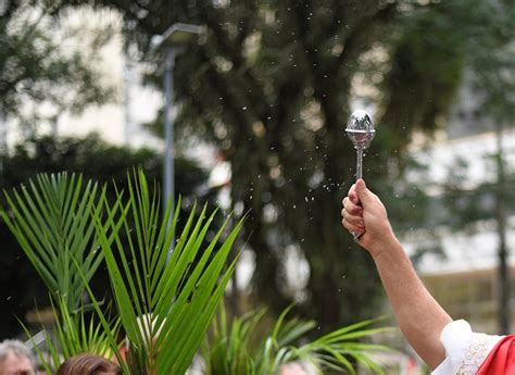 El domingo de ramos abre paso a la semana santa. ORIENTAÇÃO: Celebração do Domingo de Ramos 2020 ...