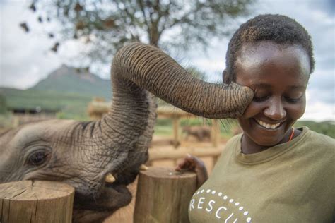 How A Community In Kenya Came Together To Help Orphaned Elephants